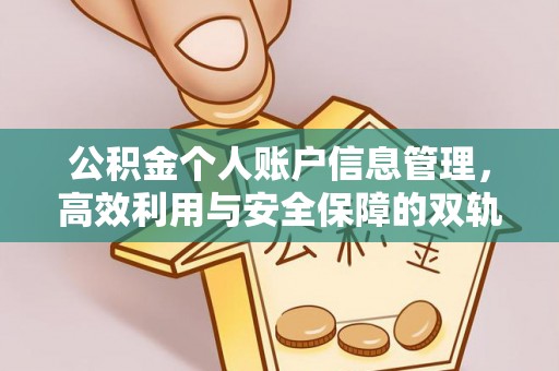 利通公积金个人账户信息管理，高效利用与安全保障的双轨并行
