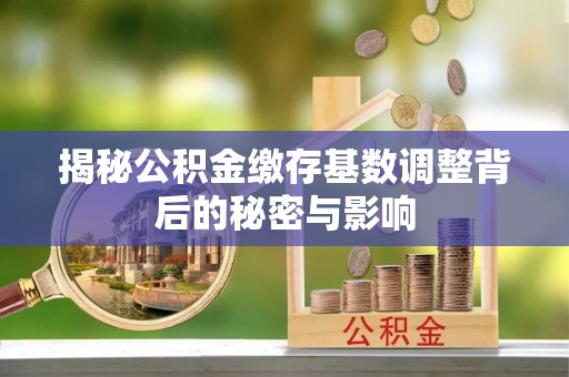 利通揭秘公积金缴存基数调整背后的秘密与影响