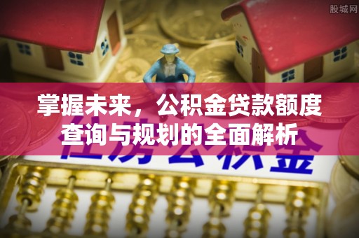 利通掌握未来，公积金贷款额度查询与规划的全面解析