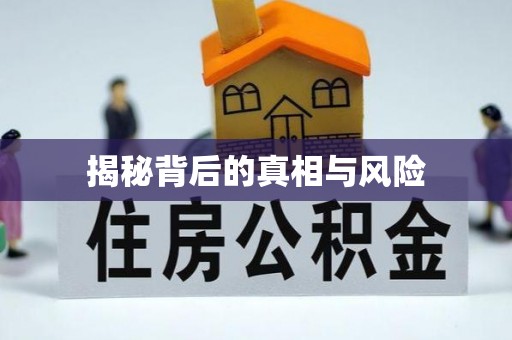 利通揭秘背后的真相与风险