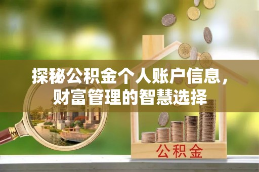 利通探秘公积金个人账户信息，财富管理的智慧选择