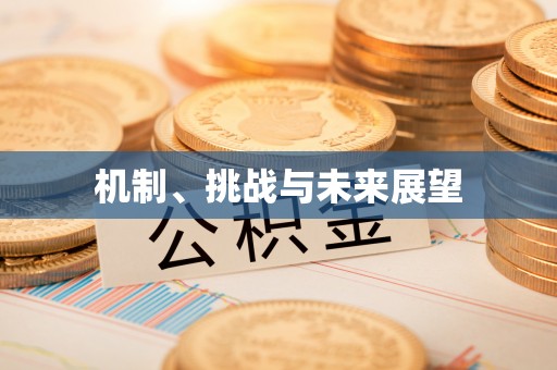 利通机制、挑战与未来展望