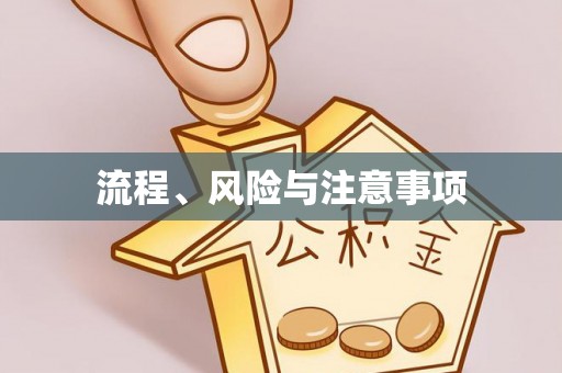 利通流程、风险与注意事项