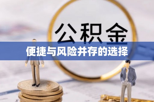 利通便捷与风险并存的选择